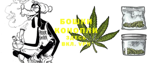 эйфоретик Иннополис