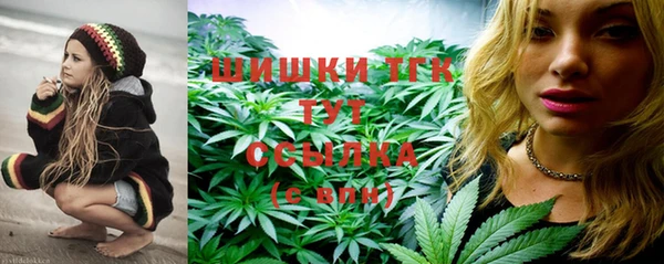 первитин Инсар